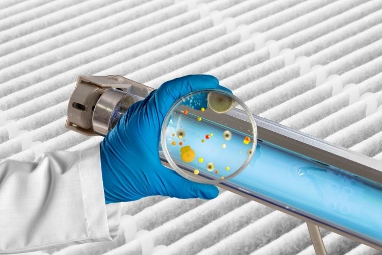 Filtros UV para purificadores y conductos